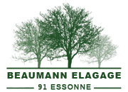 Beaumann elagage